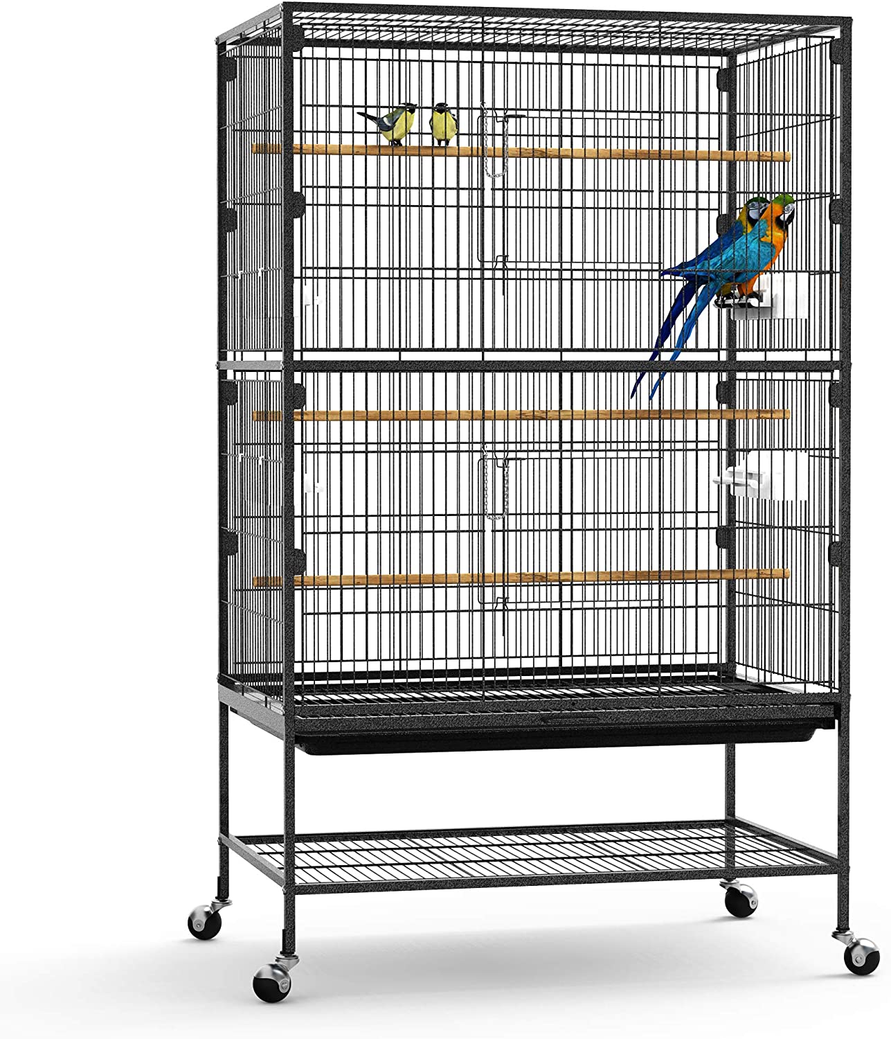 Parrots cage