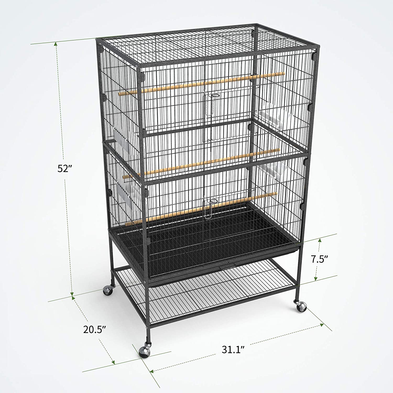 Parrots cage