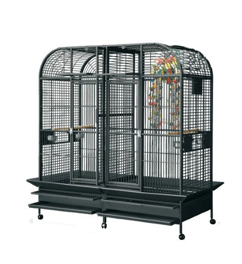 Parrots cage
